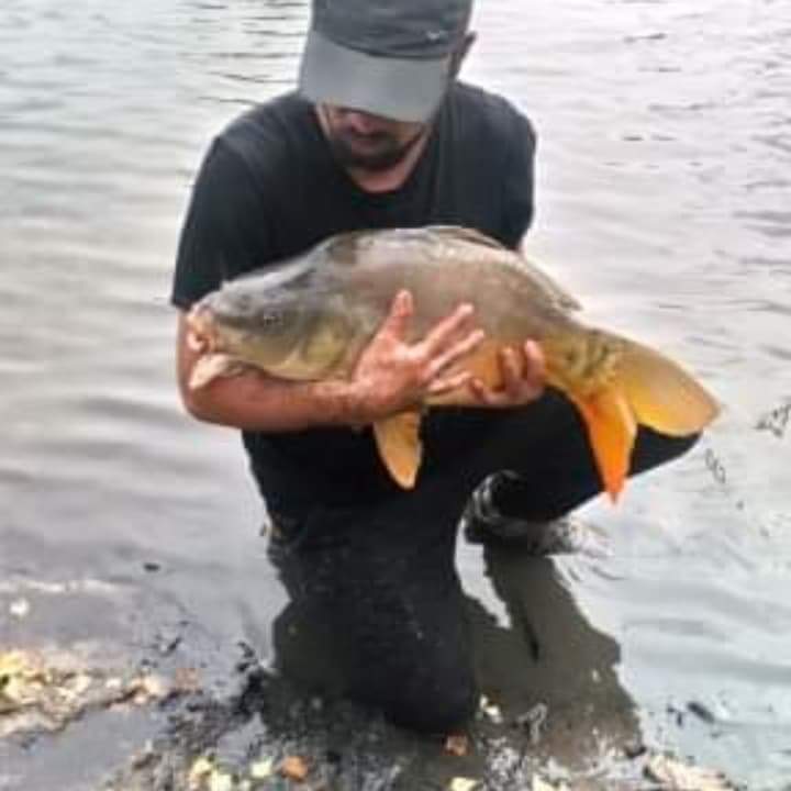 Profilo di Mohamed-taha