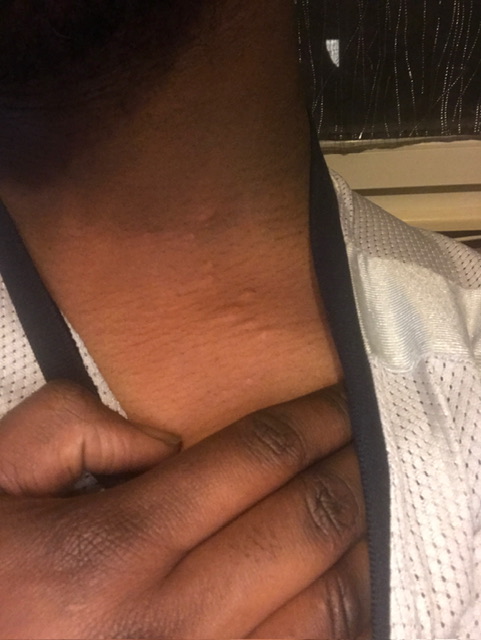 Profilo di Raffaello